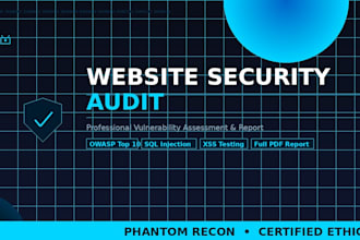 perform a professional website security audit