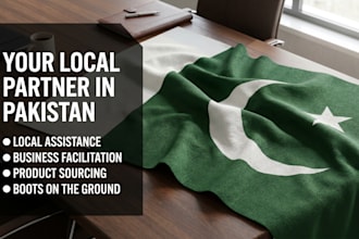 be your premium local assistant, business fixer in pakistan