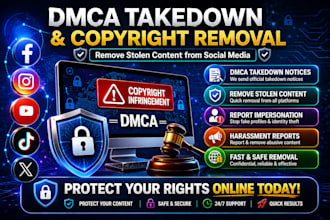 dmca mass reporting, takedown harassment content for tiktok, instagram, facebook