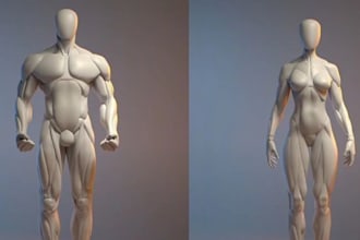create realistic 3d human anatomy model character rig morph target muscle body