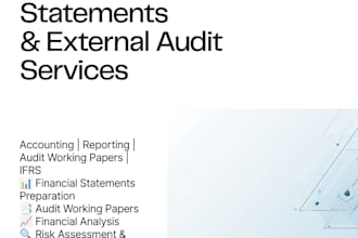 external audit, financial analysis and accounting services