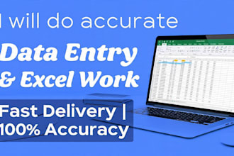 do entry work accurately and fast