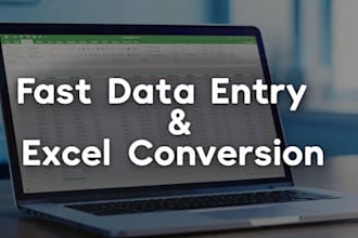 do accurate excel data entry, spreadsheet cleanup and CSV conversion