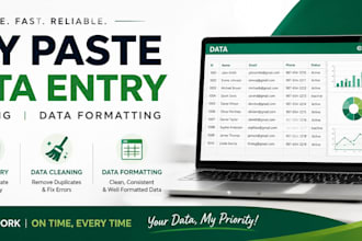 do copy past, data entry,data cleaning, and data formatting