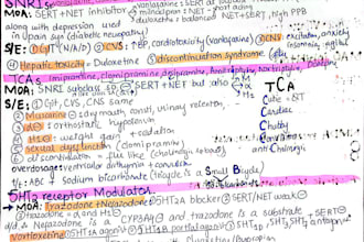 create professional medical notes, summaries, and study guides
