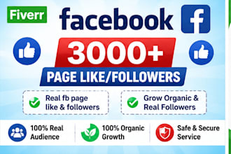 increase social media followers