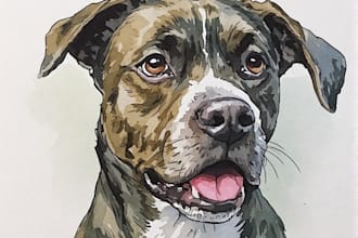 draw watercolor pet portrait