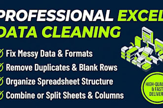 do excel data cleaning, data formatting and remove duplicates