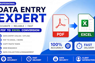 fast and accurate data entry and excel work