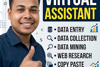 do excel data entry, data cleaning, and copy paste work