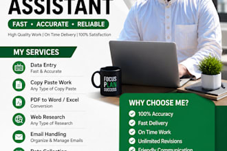 be your professional virtual assistant for data entry, web research,copy paste