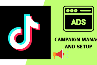create, run and manage tiktok ads campaign targeted audience