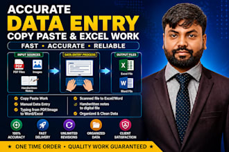 do accurate data entry copy paste and excel work