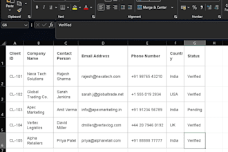 do professional data entry and advanced excel data cleaning