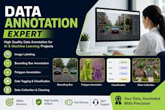 do accurate data annotation, image labeling, tagging and data collection