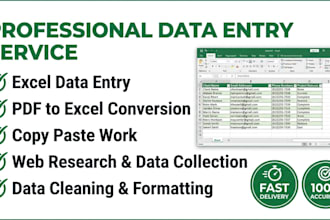 do excel data entry PDF to excel copy paste web research