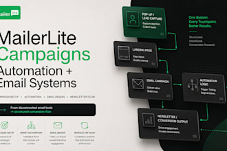 provide mailerlite campaign, mailerlite setup automation newsletter email design