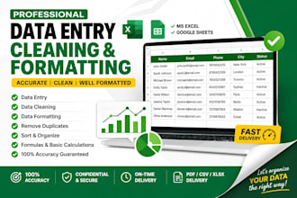 clean, format and organize excel or google sheets data