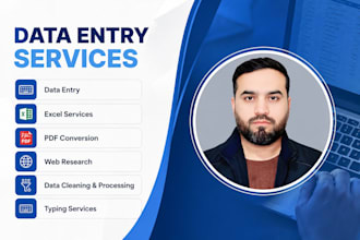 do data entry, excel data entry, web research and PDF conversion