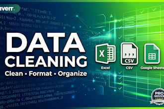 do data cleaning, data formatting, and data processing
