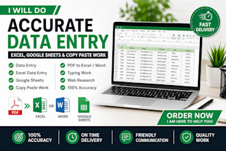 do accurate data entry, copy paste and excel data entry