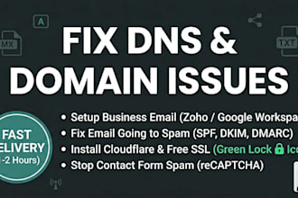 fix dns issues, setup professional business email, connect domain and stop spam