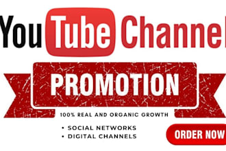 do organic USA video promotion youtube video promotion