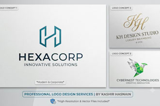 design a professional logo, brand book