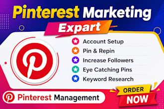 be your pinterest manager and grow organic traffic