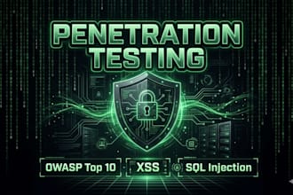 do penetration testing and vulnerability assessment for your website