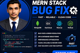 fix bugs in your mern stack web application