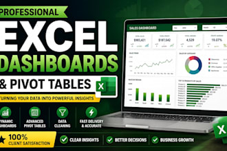 create professional excel dashboards and pivot tables