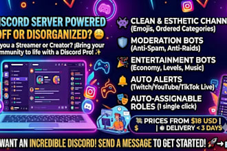 build design and upgrade a professional discord server