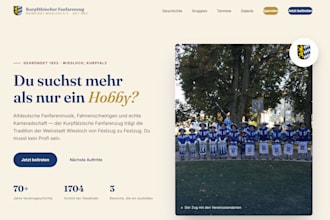 create an profesional website, just give me your idea