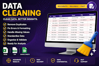 professional data cleaning services
