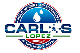 design eye catching mold logo