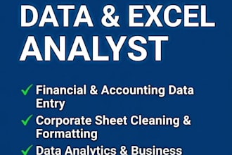 financial data and excel analyst specialist
