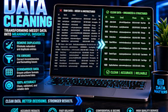 do data processing, data cleaning and excel data management