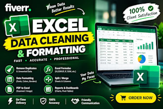 excel spreadsheet cleanup, formatting and formula setup
