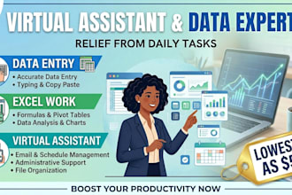 be your virtual assistant for data entry, microsoft excel, and word
