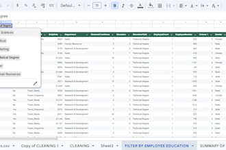 create google sheets filters slicers and organized data view