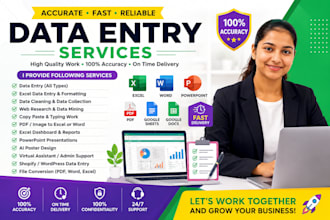 do accurate data entry, data cleaning and excel data formatting