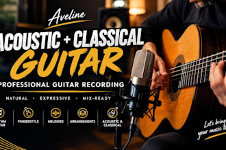record professional acoustic and classical guitar for your song