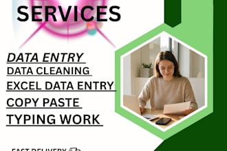 do fast and accurate data entry, data cleaning,  excel work,