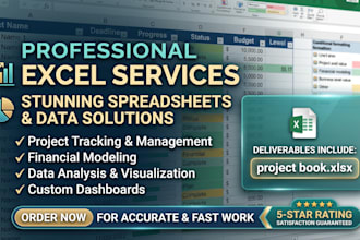 do accurate data entry , excel data formatting