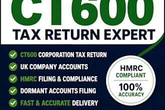 prepare and file ct600 corporation tax return with UK company accounts