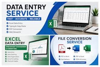 data entry and excel services