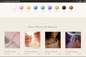 build modern fast websites and maintain digital branding