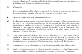 review commercial contract, agreement, lease, nda, etc