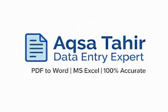 professional data entry, excel and copy typing expert
